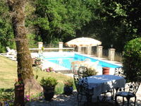 Pool from the patio