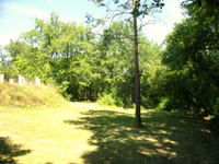The lower garden extends into woods