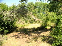Private picnic area in the woods