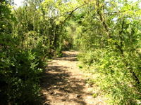 A "secret path" leads to a picnic area in the woods