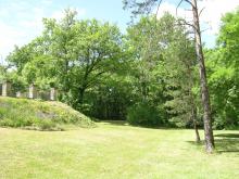 Lower garden extending into woods