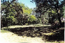 Lower garden extending into woods